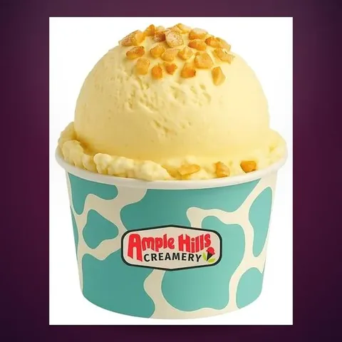 Ample Hills Creamery ice cream cup with cone-piece topping